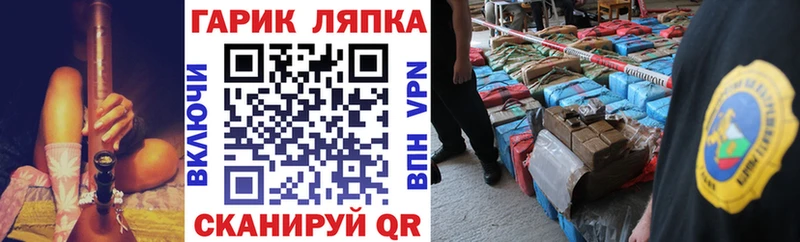 ГАШ Premium  Сельцо 