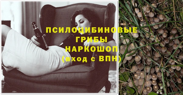 ешки Иннополис
