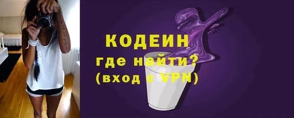 ешки Иннополис