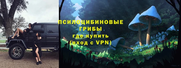 метадон Инсар