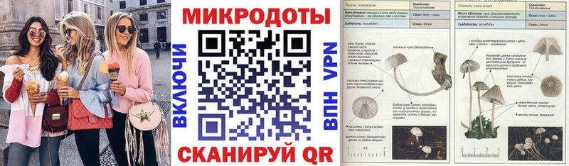 KRAKEN ссылка Сельцо Псилоцибиновые грибы Psilocybine cubensis